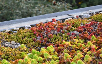 the cost of Ranton Green green roof installation