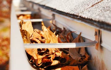 Ranton Green gutter cleaning companies