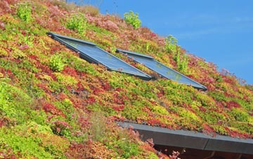 Ranton Green living roof systems