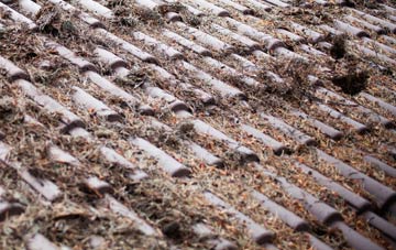 Ranton Green roof cleaning companies